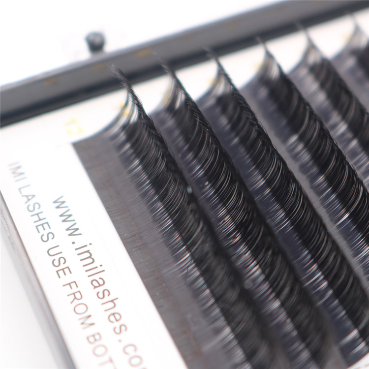 applying false eyelashes and eyelash extension training-D